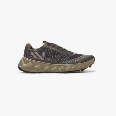 Tomir 02 GTX Shoe Brown / Black